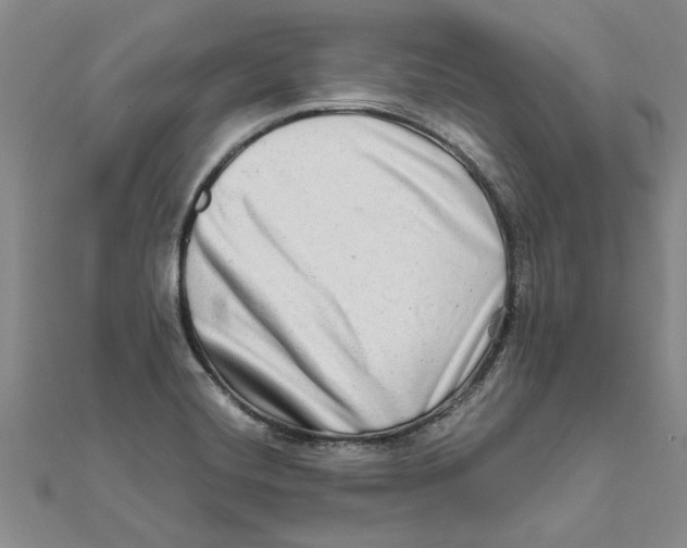 X0000111681420200908141440