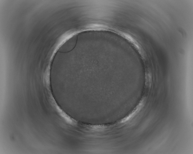 X0000111681421200908141440