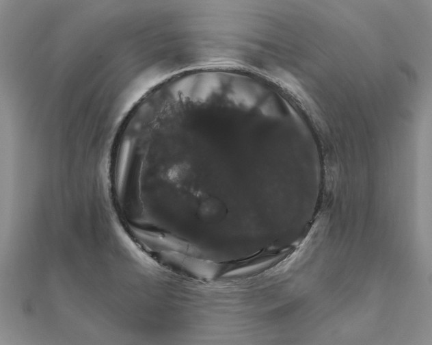 X0000111681422200908141440