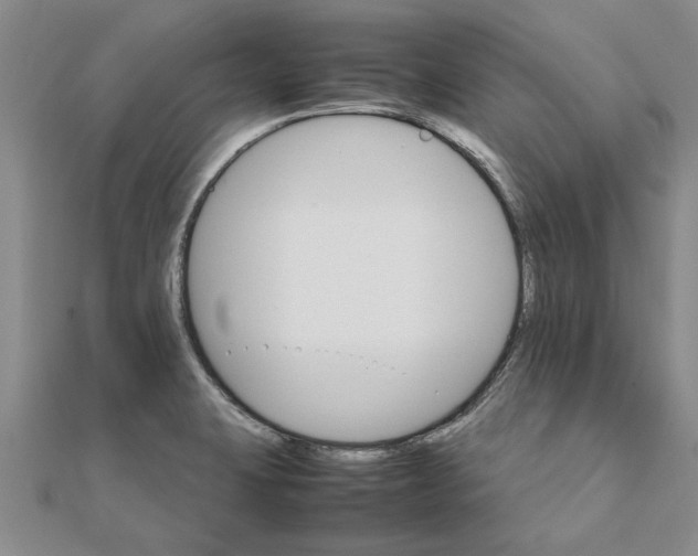 X0000111681423200908141440