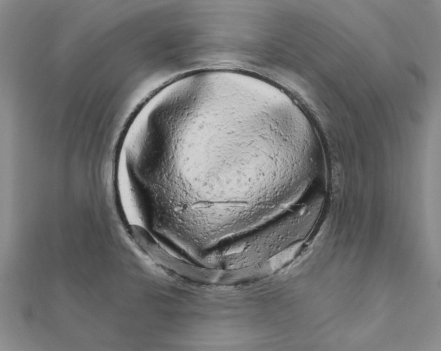 X0000111681424200908141440