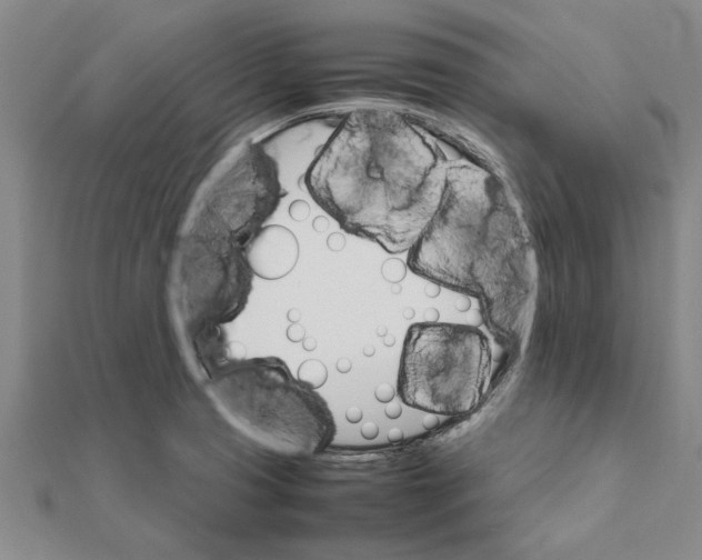 X0000111681425200908141440