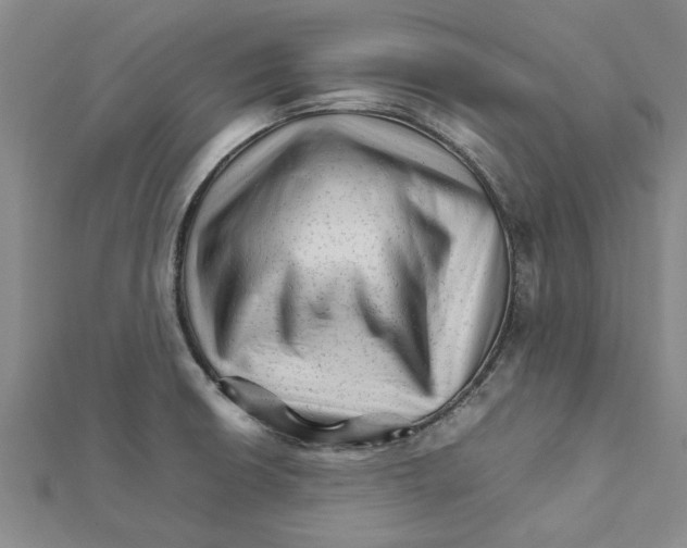 X0000111681426200908141440