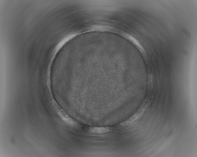 X0000111681427200908141440