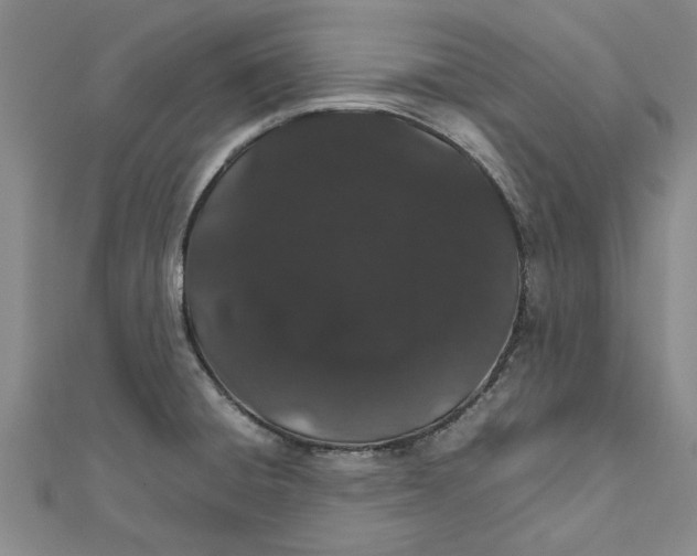 X0000111681428200908141440