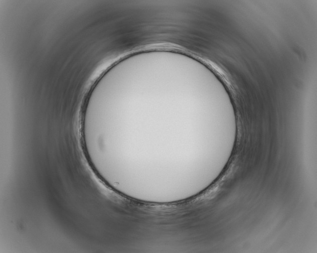 X0000111681430200908141440