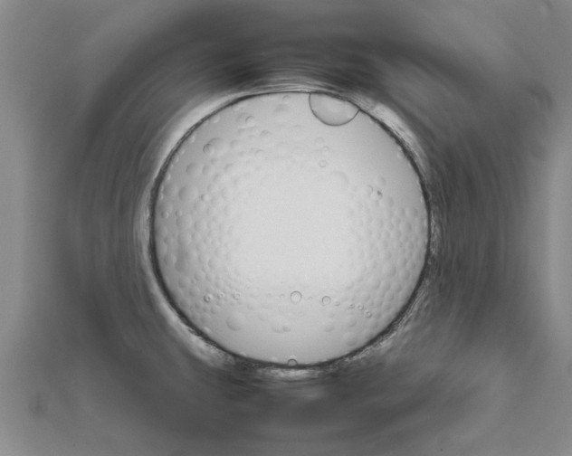 X0000111681431200908141440