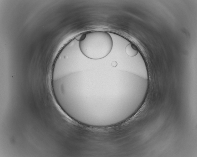 X0000111681432200908141440