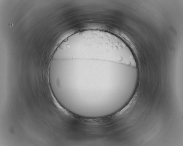 X0000111681433200908141440