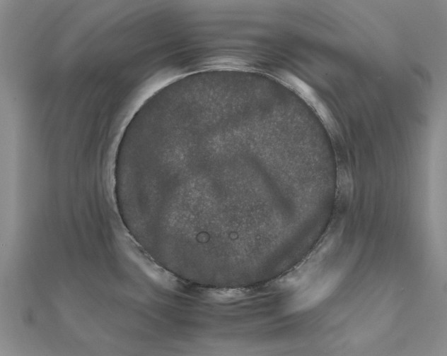 X0000111681435200908141440