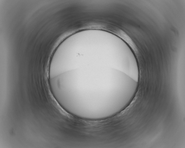 X0000111681436200908141440