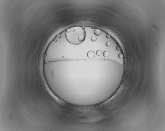 X0000111681437200908141440