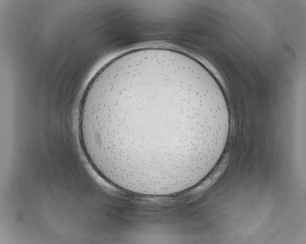 X0000111681438200908141441