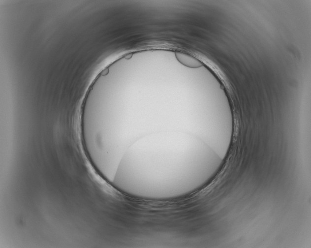 X0000111681439200908141441