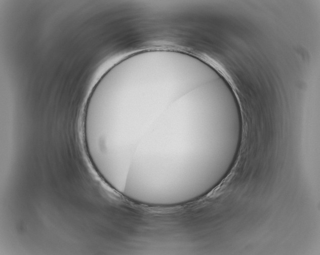 X0000111681440200908141441