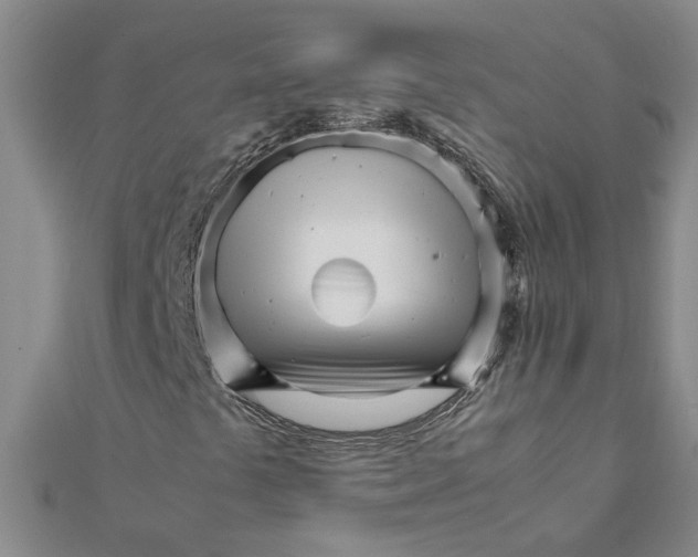 X0000111681441200908141440