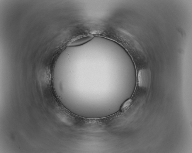 X0000111681443200908141440