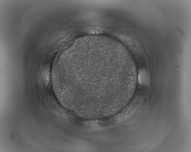 X0000111681444200908141440