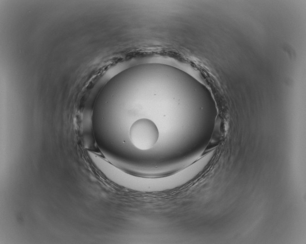 X0000111681445200908141440