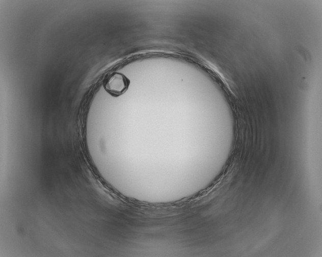 X0000111681448200908141440