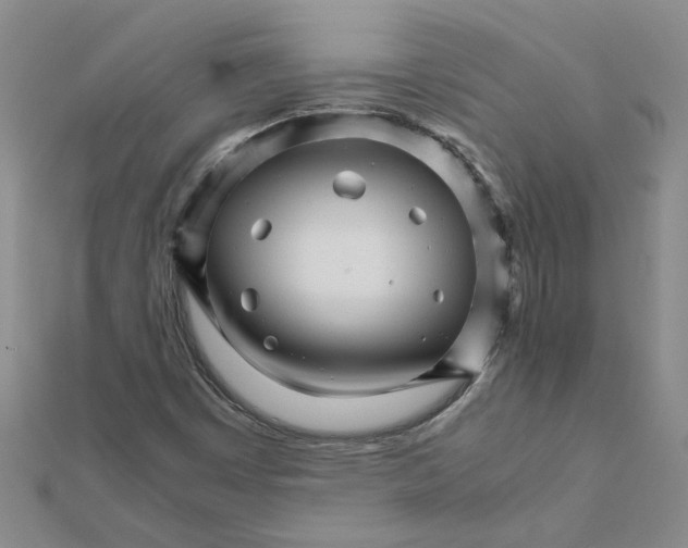 X0000111681449200908141440