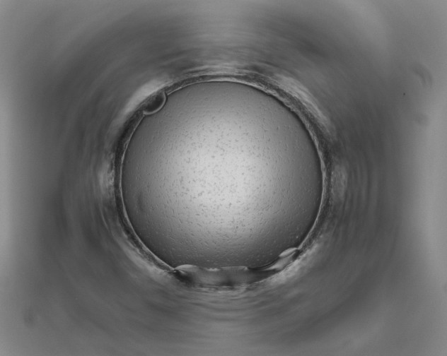 X0000111681450200908141440