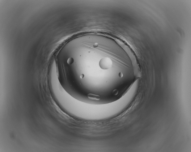 X0000111681452200908141440