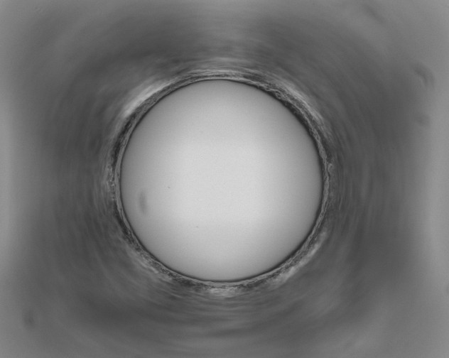 X0000111681453200908141440