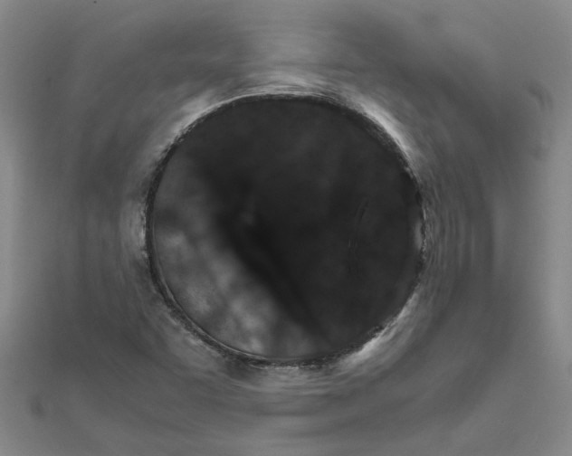 X0000111681455200908141440