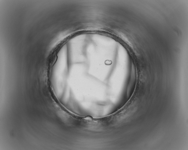 X0000111681456200908141440