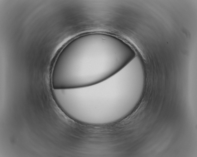 X0000111681460200908141440