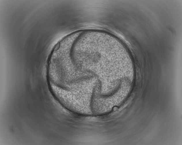 X0000111681463200908141440