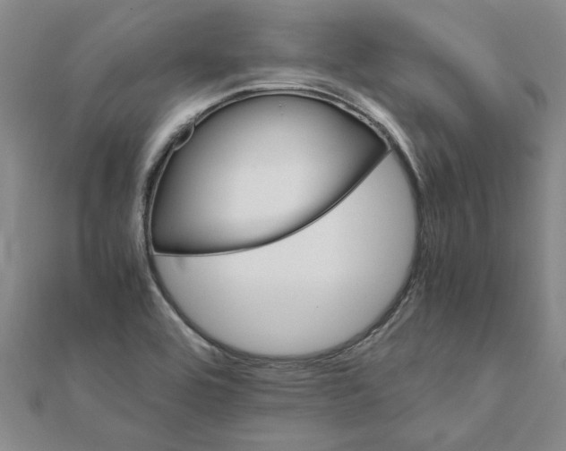 X0000111681464200908141440