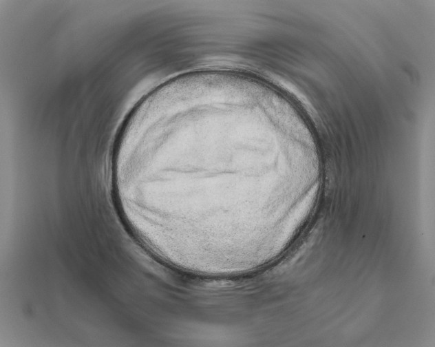 X0000111681467200908141440