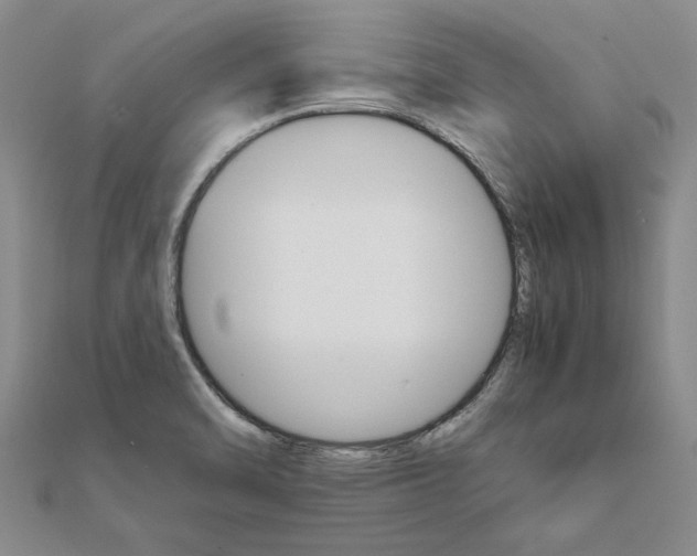 X0000111681470200908141440