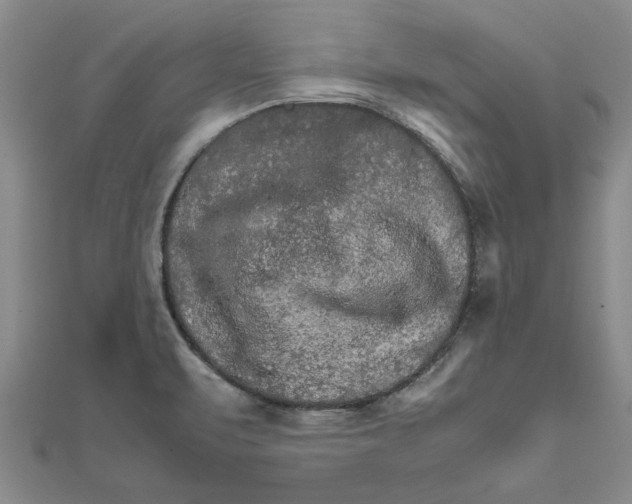 X0000111681471200908141440