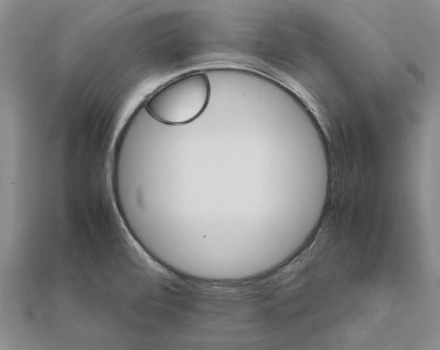 X0000111681472200908141440