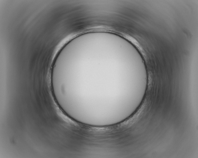 X0000111681474200908141439