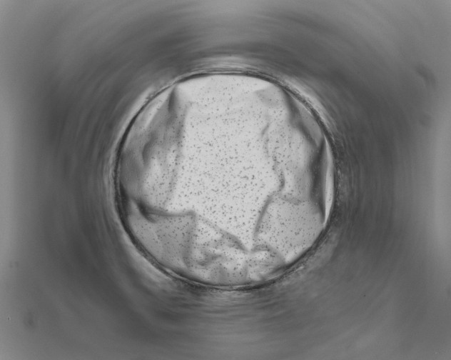 X0000111681475200908141439