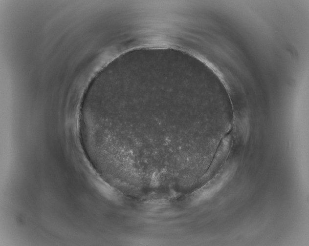 X0000111681477200908141439