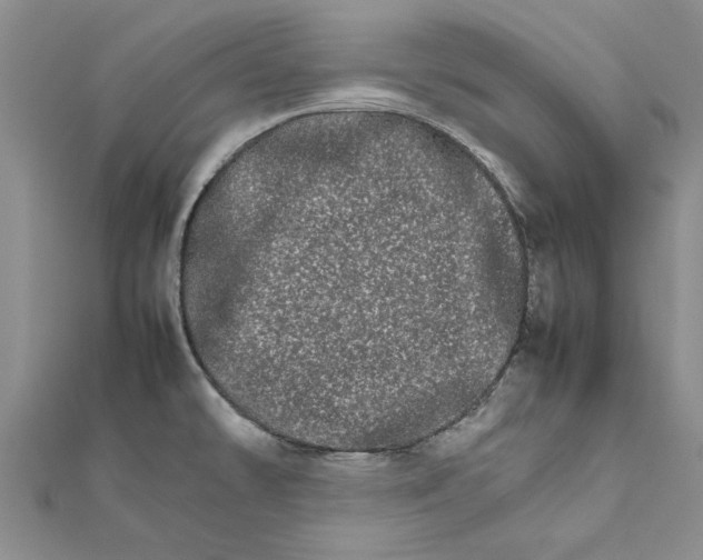 X0000111681478200908141439