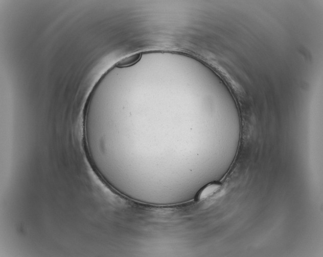 X0000111681479200908141439