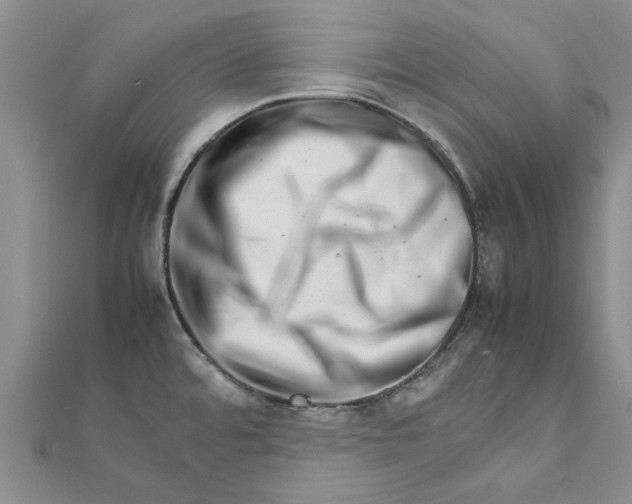 X0000111681480200908141439