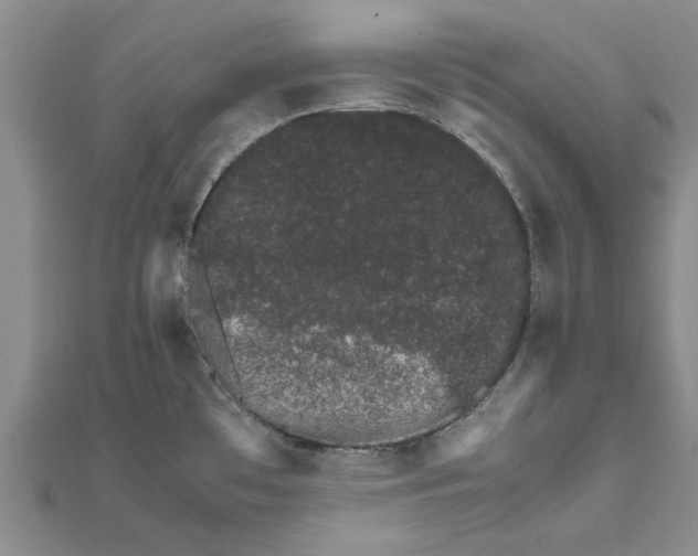 X0000111681481200908141439