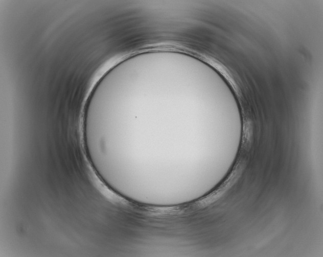 X0000111681482200908141439