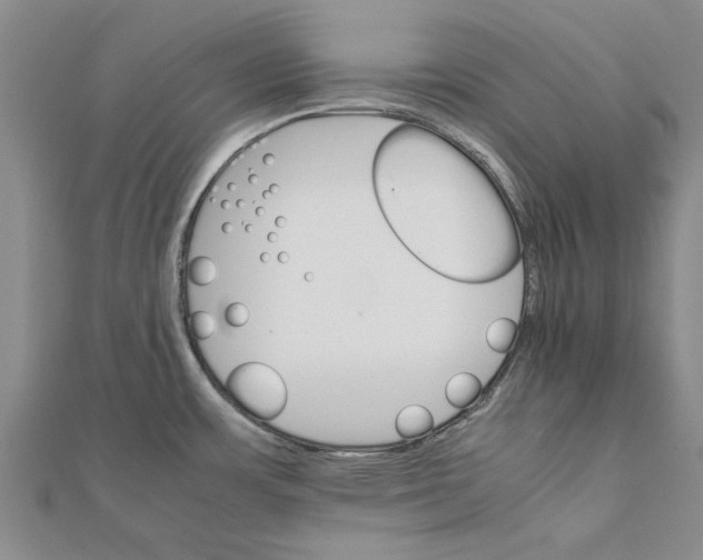 X0000111681483200908141439