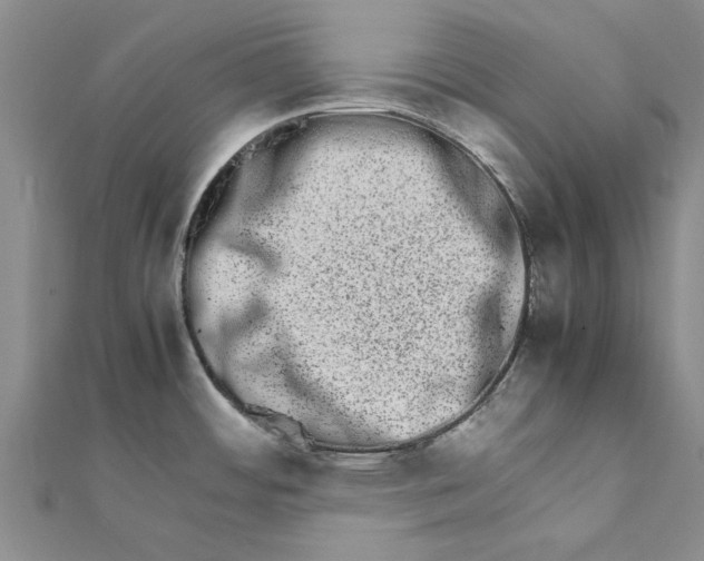 X0000111681484200908141439