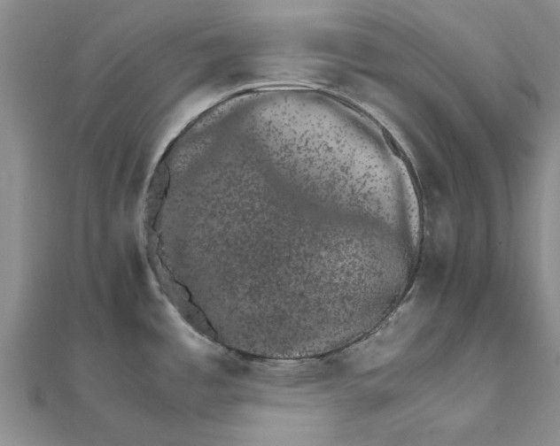 X0000111681485200908141439