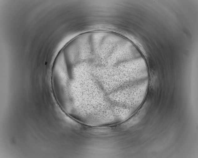 X0000111681486200908141439