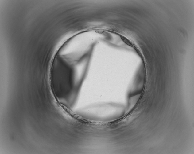 X0000111681488200908141439